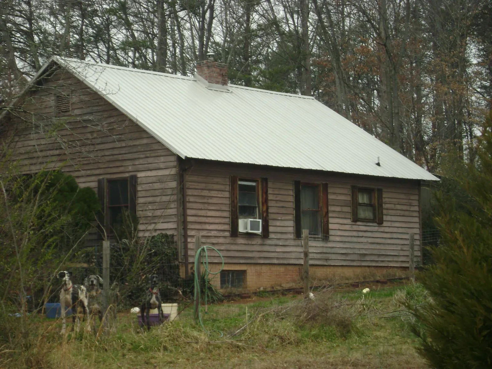 White metal roof on an old wood sided farmhouse, from a Asphalt Shingle Roof Repair job in Hartstown